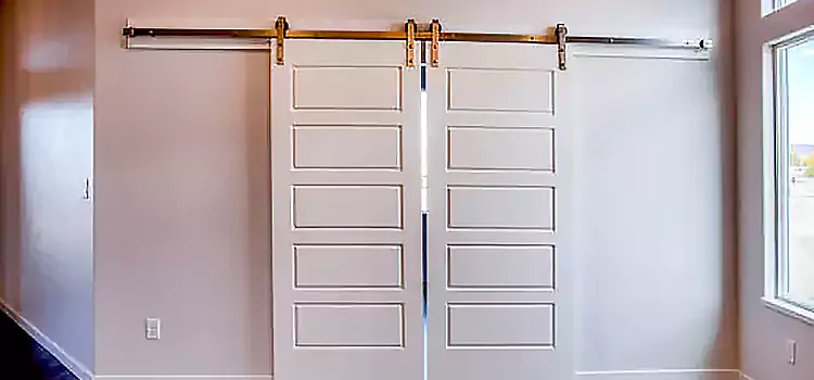 Glass Barn Door with Installation Hardware Kit Mechanicsville